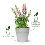 vibia straight rund 40cm anthrazit